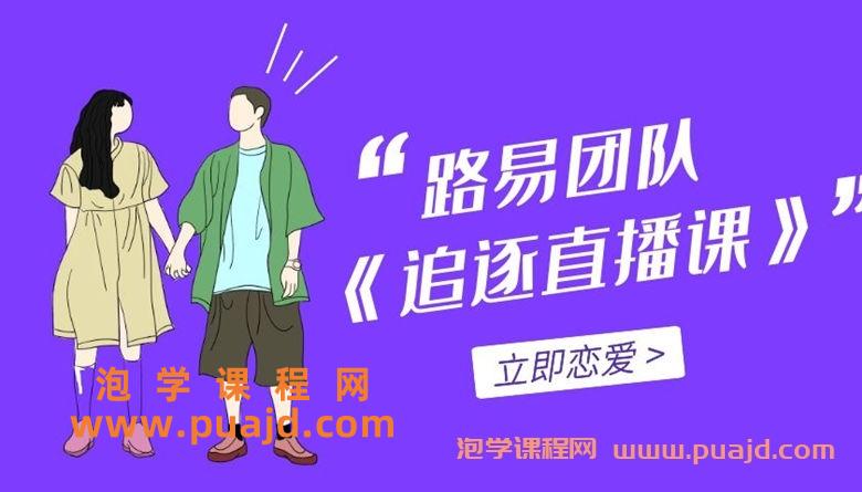 2017年路易团队《追逐直播课》