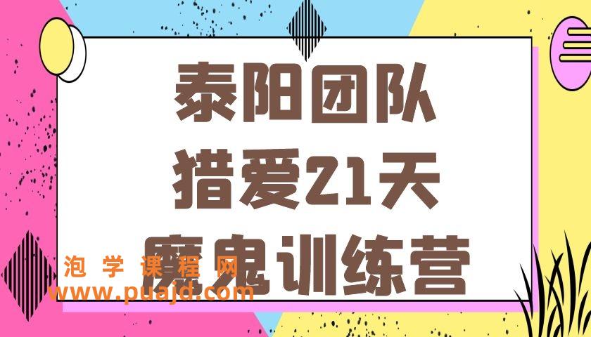 泰阳团队《猎爱21天魔鬼训练营》