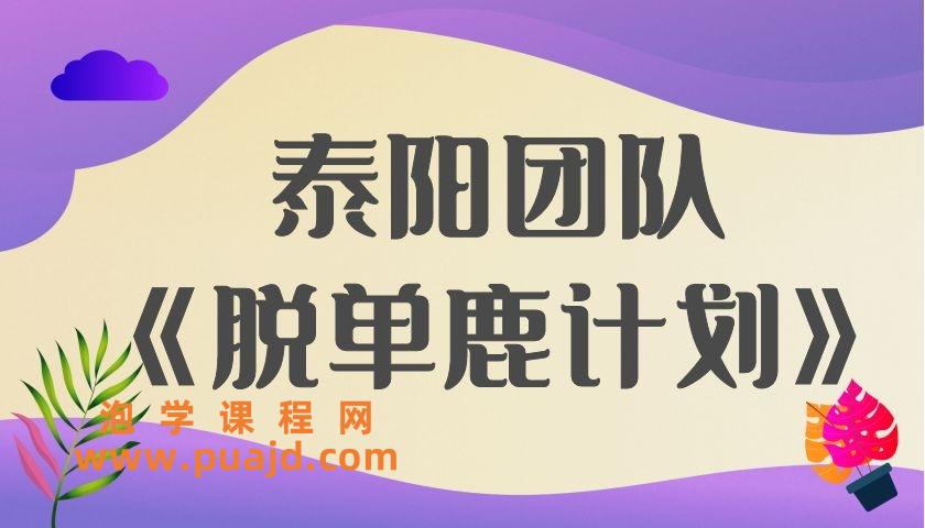 泰阳团队《脱单鹿计划》
