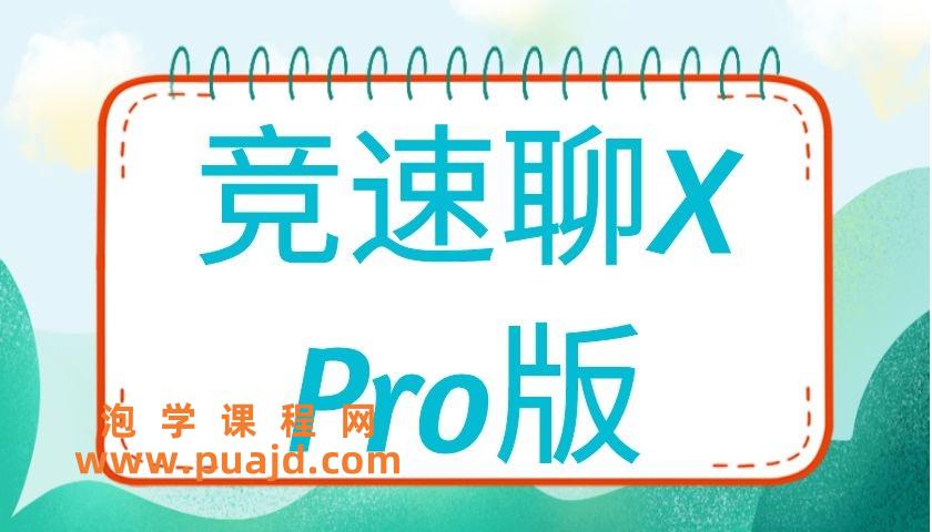 瑞恩《竞速聊X》Pro版