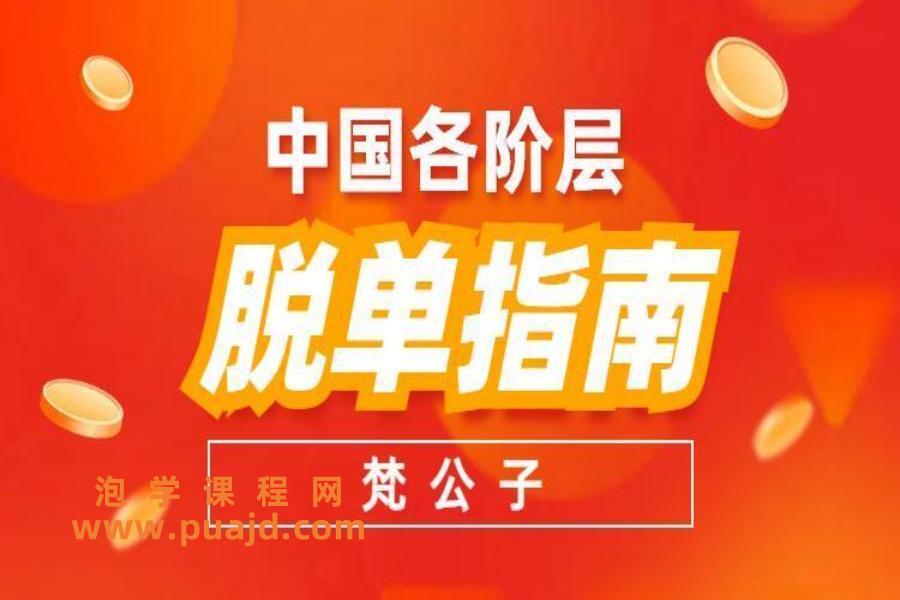 梵公子《中国各阶层脱单指南2023》