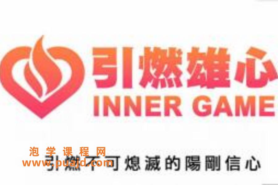 瑞恩《引燃雄心》